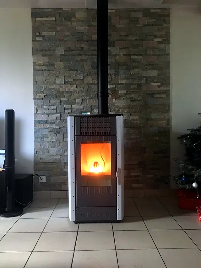 Poêle à granulés habillage inox, flamme visible